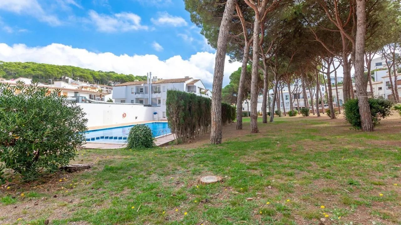Tamarius Park Apartment